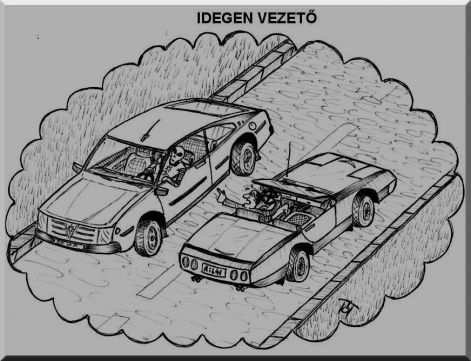 009_idegen_vezeto.jpg