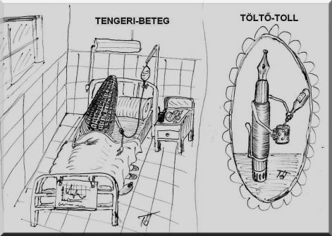 041_tengeri_beteg.jpg